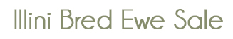Illini Bred Ewe Sale