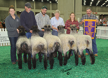 1st Flock 2015 NAILE