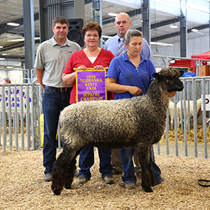 Supreme Ewe Nebraska