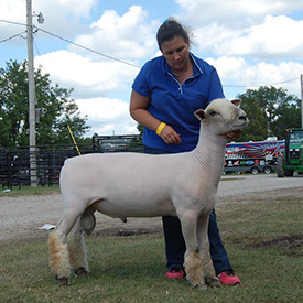 Wyncrest Farms