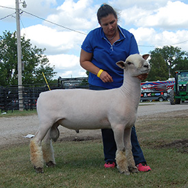 Wyncrest Farms