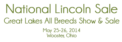 National Lincoln Sale