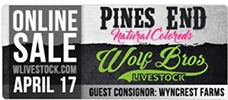 Online Sale