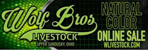 Wyncrest For Sale Wolf Brothers Online Sale