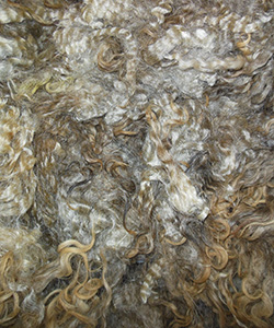 Fleeces