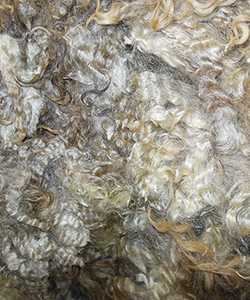 Fleeces