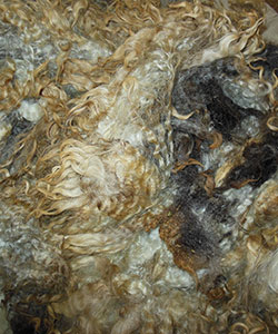 Fleeces