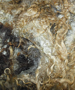 Fleeces