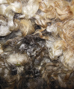 Wyncrest Fleeces