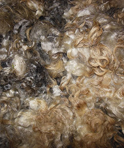 Wyncrest Fleeces