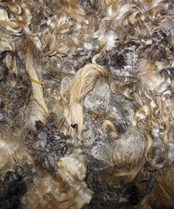 Wyncrest Fleeces