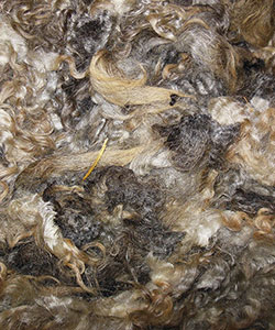 Wyncrest Fleeces