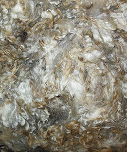 Wyncrest Fleeces
