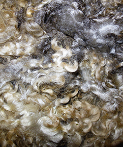 Fleeces