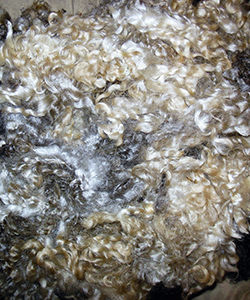 Fleeces