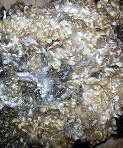 Fleeces