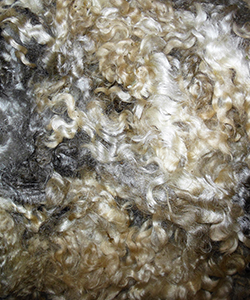 Fleeces