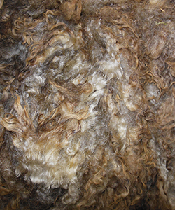 Fleeces