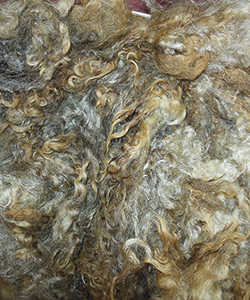 Fleeces
