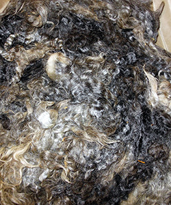 Fleeces