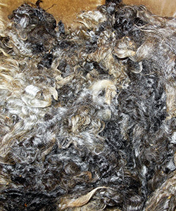 Fleeces