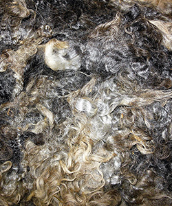 Fleeces