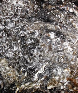 1540 Fleece