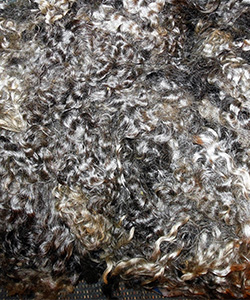 1540 Fleece