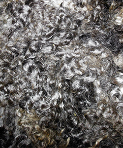 1540 Fleece