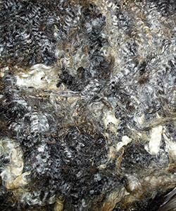 1605 Lamb Fleece