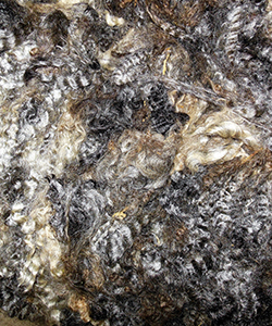 1605 Lamb Fleece
