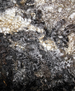 16-22 Fleece