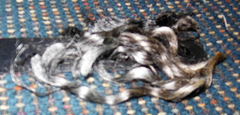 1637 Fleece