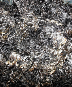 1637 Fleece