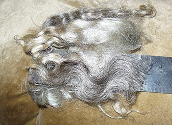 Fleeces - 1638