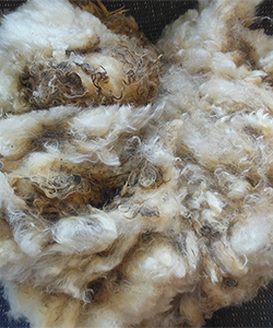 2178 Fleece