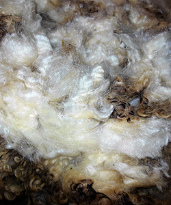 Fleeces
