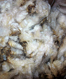 Fleeces