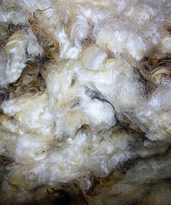 Fleeces