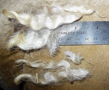 Fleeces - Chanel