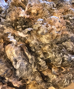 Fleeces -12095