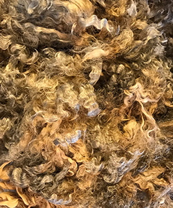 Fleeces - 12095