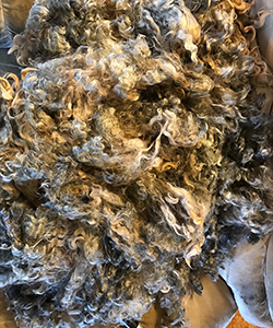 Fleeces -12095