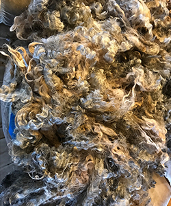 Fleeces - 12095