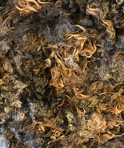 Fleeces -1260