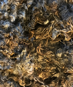 Fleeces - 1260