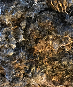 Fleeces - 1260