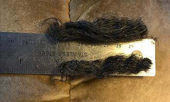 Fleeces - 1618