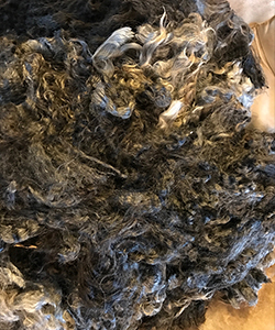 Fleeces - 1618