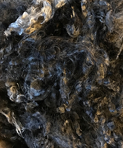 Fleeces - 1618